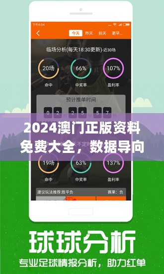 2025澳门精准正版免费透明合法吗,理性购彩.全面解答解释落实